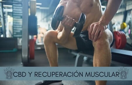 cbd y dolor muscular